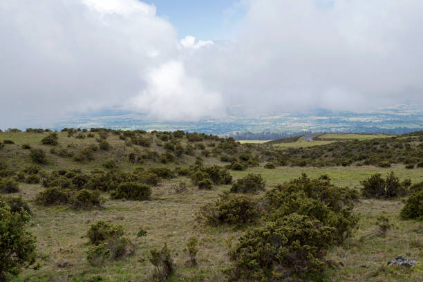 istock haleakala foothills overlooking valley in maui 1393372011