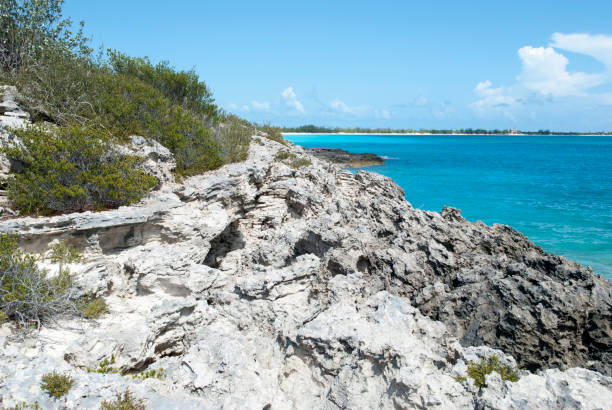istock Half Moon Cay Rocky Coastline 1393373250