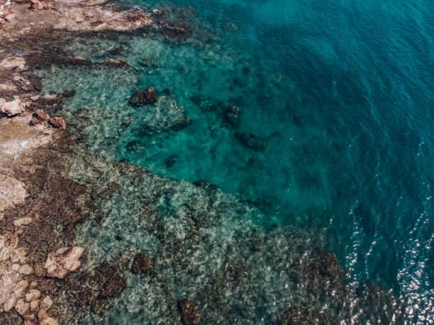 istock Drone View Rocky Coastline and Clear Sea 1393375745