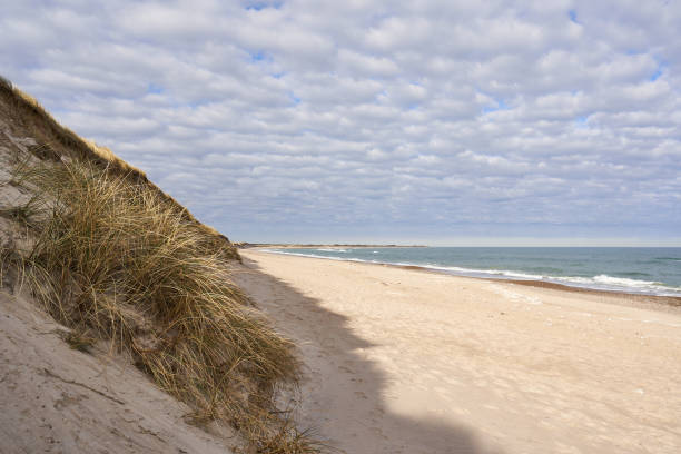 View of a deserted North Sea beach in Denmark in summer.