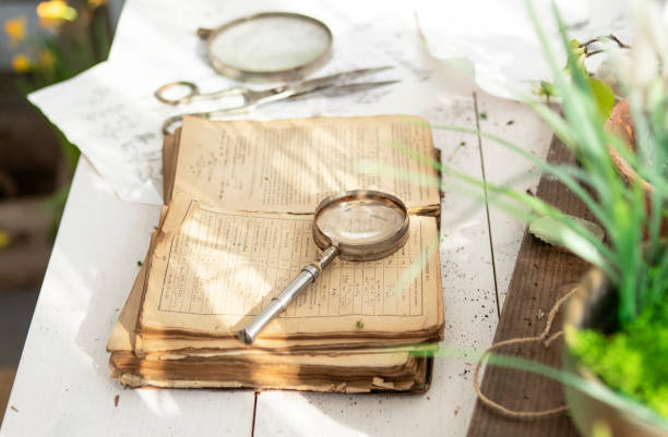 istock magnifying glass on the table in veranda. flower seedling, open book. 1393384959