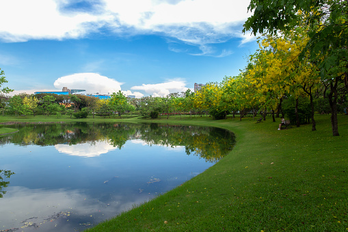 BANGKOK, THAILAND - Apr 24, 2022. Downtown skyscrapers over pond in Lumpini park. Daylight view over pond in recreation park