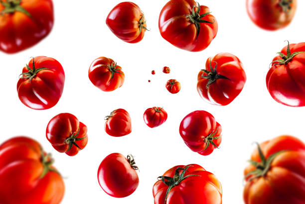 sammlung von pachino-tomaten, die isoliert auf weißem hintergrund fallen. selektiver fokus - cherry tomato fotos stock-fotos und bilder