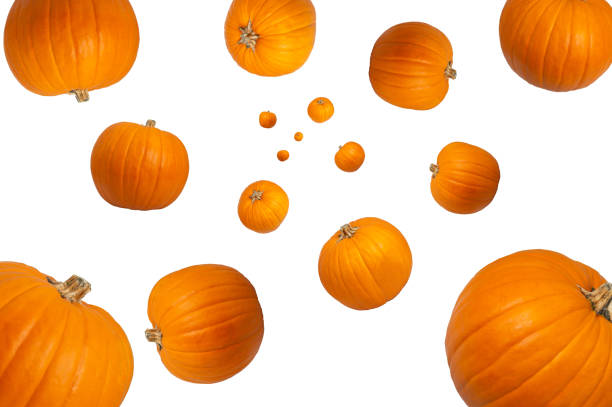istock Collection of Orange Pumpkin falling isolated on white background. Selective focus. Concept Halloween 1393391408