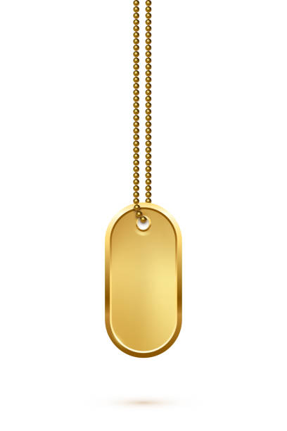 Empty oval gold military or dogs badge hanging on steel chain. Vector ellipse army object isolated on white background. Pendant with blank space for identification, blood type in case of injury. Empty oval gold military or dogs badge hanging on steel chain. Vector ellipse army object isolated on white background. Pendant with blank space for identification, blood type in case of injury vietnam dog tags stock illustrations