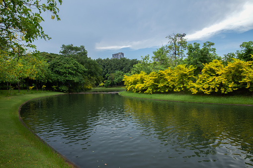View of the lake in Lumpini Park in the Thai capital's city centre in Bangkok, Thailand