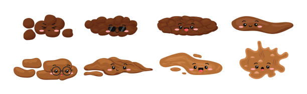 Cute poop excrement character for bristol scale chart feces. Cute poop excrement character for bristol scale chart feces. Different type constipation baby poo - hard, soft, cracked, watery cartoon vector icon isolated. Flat design vector clip art illustration. shit faced stock illustrations