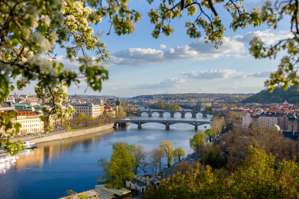 istock landscape with Vltava river through foliage 1393398580