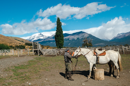 Gaucho standing next to a white horse. Mountain range in the background. Photo was made on a large estancia (farm) in the Los Glaciares National Park in Patagonia, Argentina.\nIn the mid-18th century gauchos arose to hunt the large herds of escaped horses and cattle that had roamed freely, bred prodigiously, and remained safe from predators on the extensive Pampas. By the end of the 18th century, private owners had acquired the half-wild livestock on the Pampas and hired the gauchos as skilled animal handlers. By the later 19th century the Pampas had been fenced into huge estancias (estates), and the gaucho thus became a farmhand or peon.