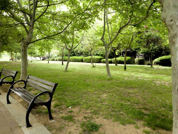 istock Green Beautiful View of a Park 1393399227