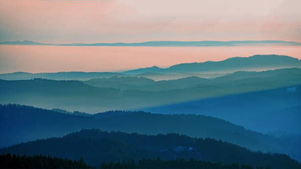 beautiful landscape panorama in the black forest - view during the sunset in the mountains,hills, forest trees in the blackforest, with foggy fog and glowing sky. - forest black forest sky night imagens e fotografias de stock