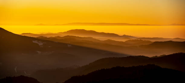 beautiful landscape panorama in the black forest - view during the sunset in the mountains,hills, forest trees in the blackforest, with foggy fog and glowing sky. - forest black forest sky night imagens e fotografias de stock