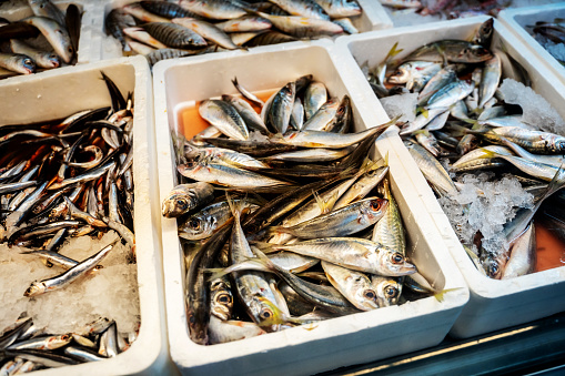 Fresh fish for sale in boxes at the seafood store.