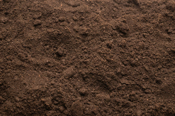 istock Black land for plant background. Top view. 1393405046