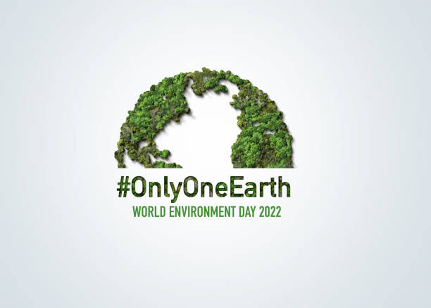 Environment Day concept Only One Earth- World Environment day concept 3d design. Happy Environment day, 05 June. World map with Environment day text 3d background illustration. world environment day stock pictures, royalty-free photos & images