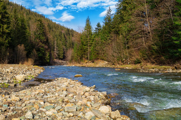 istock River in Carpathian Mountains, Ukraine. 1393406632