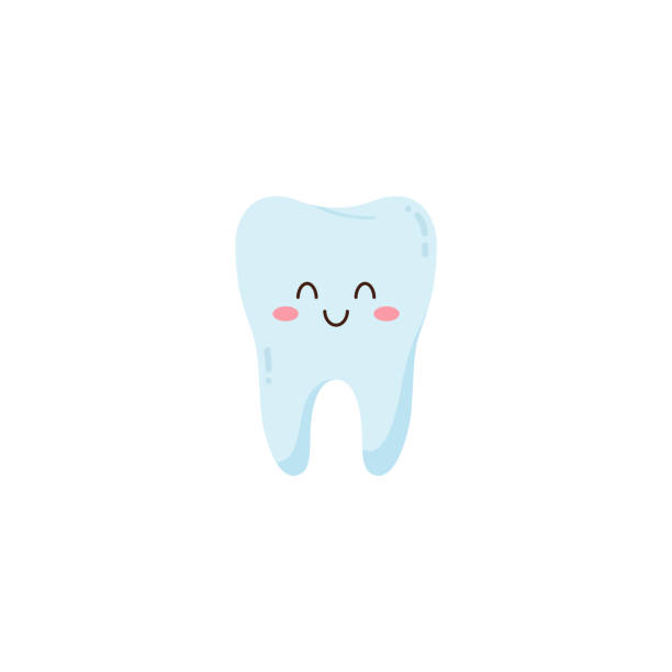 Happy smiling baby tooth kawaii character, flat vector illustration isolated. Happy smiling baby tooth cute kawaii character, flat vector illustration isolated on white background. Funny healthy tooth cartoon character for pediatric dentistry. baby teeth stock illustrations