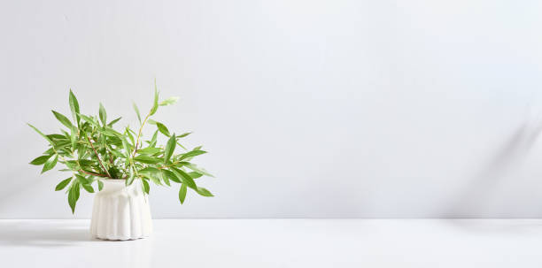 istock Branches with green leaves in a vase and shadows on a white table. Mock up for displaying works 1393412043