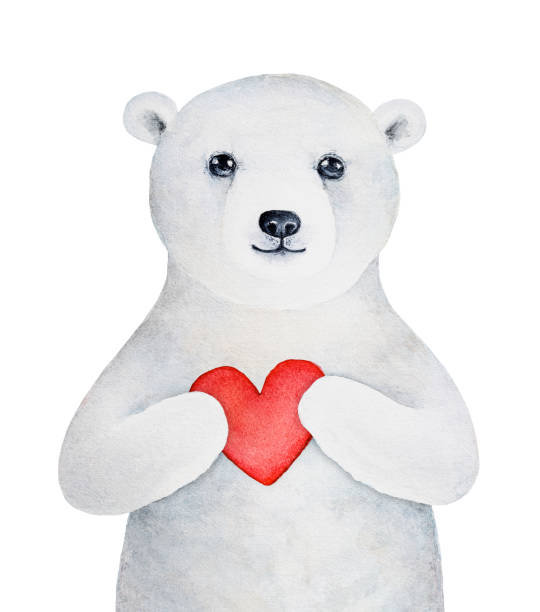 Cute little polar bear cub with kind eyes, smiling face and beautiful white fur holding red love heart. Hand painted watercolour drawing on white background, isolated element for design decoration. houses in antarctica stock illustrations