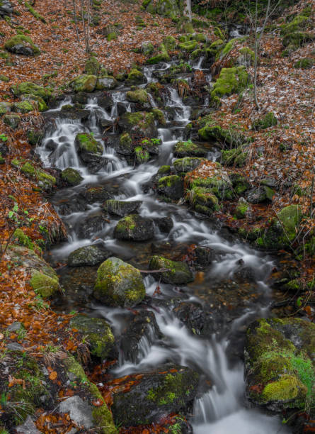 istock Prudky rucej creek with waterfall near confluence with Jizera river 1393419838