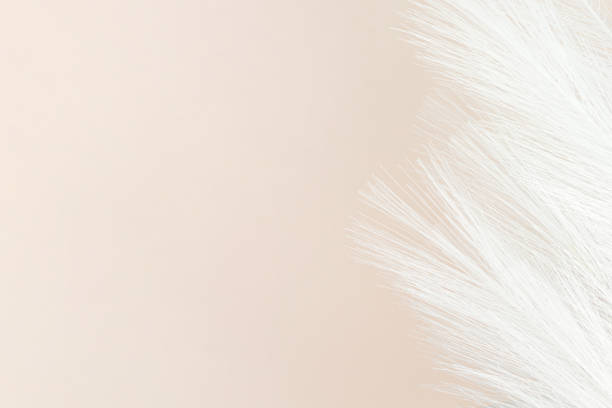 istock Colorful Artificial Feathers Shot on Beige Background. Space for text. 1393420087