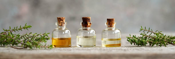 istock Panoramic header with essential oil bottles and thyme plant 1393422771