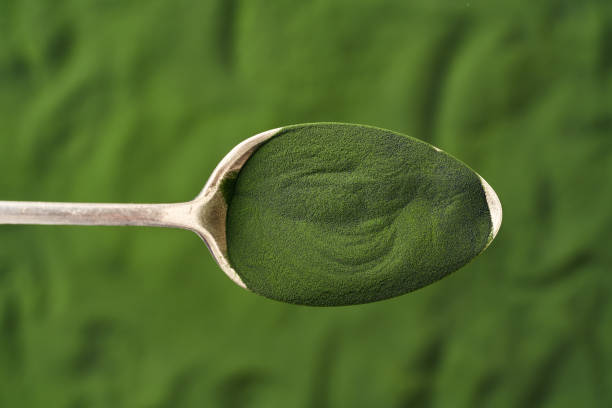 Green chlorella algae powder on a spoon Green chlorella algae powder on a metal spoon - healthy nutritional supplement chlorella stock pictures, royalty-free photos & images