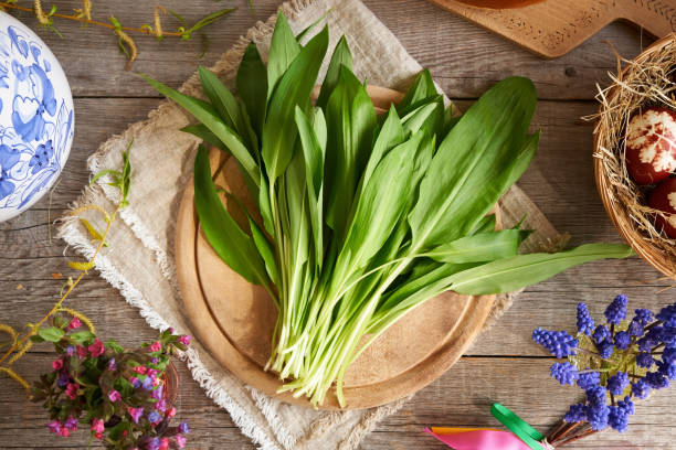 Fresh young wild garlic leaves with Easter decoration in spring, top view Fresh young bear's garlic leaves with Easter eggs and spring flowers ramson stock pictures, royalty-free photos & images