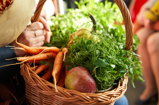 Woman holding a basket with vegetables, fruits and pea microgreens - returning from the farmers market