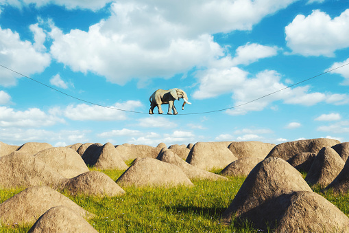 Surreal image elephant walking a tightrope. This is entirely 3D generated image.