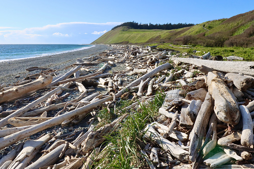 The beach on Whidbey Island near Ebey's Landing