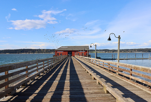 The very long and historic pier in Coupeville, Washington