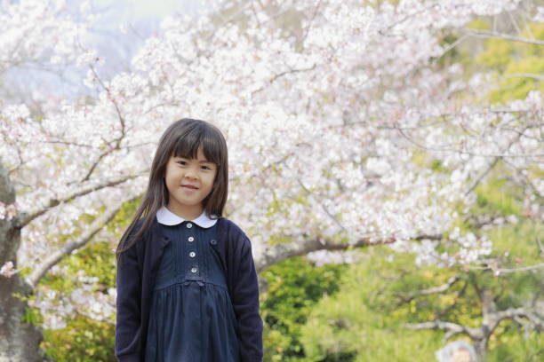 istock Japanese girl and cherry blossoms (7 years old) 1393436323