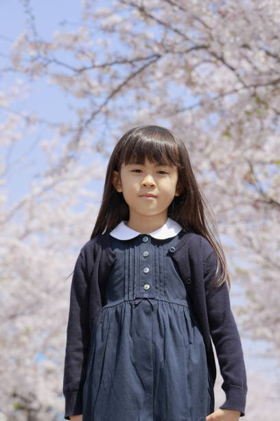 istock Japanese girl and cherry blossoms (7 years old) 1393436349