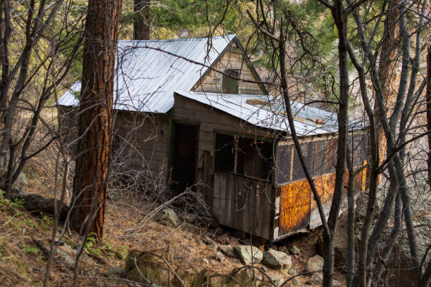 istock Abandoned miner's cabin in the woods 1393448693