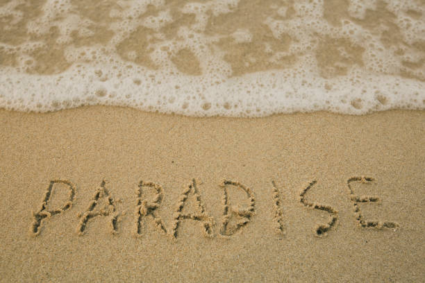 istock Paradise - handwritten on the soft beach sand. 1393457101
