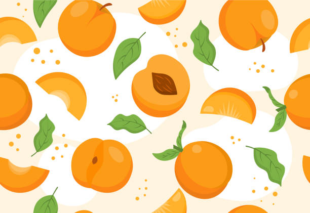 ilustraciones, imágenes clip art, dibujos animados e iconos de stock de patrón sin costuras de melocotón - nectarine peaches peach abstract