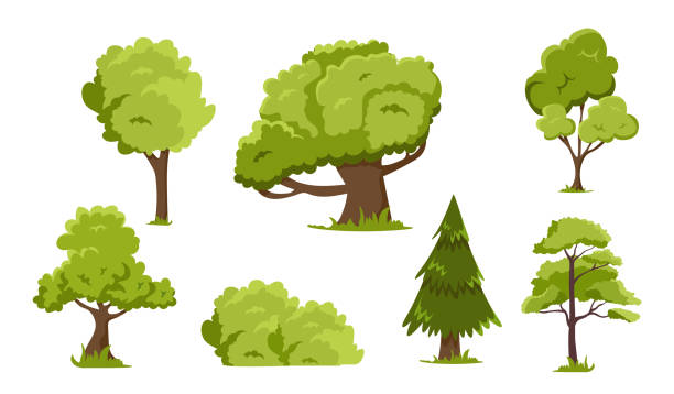 Set of trees Set of trees. Collection of icons for social networks. Park or forest elements, plants and flora. Care for nature, planet and ecology. Cartoon flat vector illustrations isolated on white background bush stock illustrations