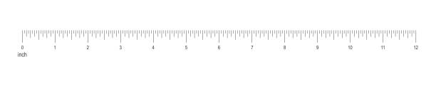 шкала линейки 12 дюймов или 1 фут. единица длины в имперской системе измерения. горизонтальная измерительная диаграмма с разметкой и цифрами - inch stock illustrations