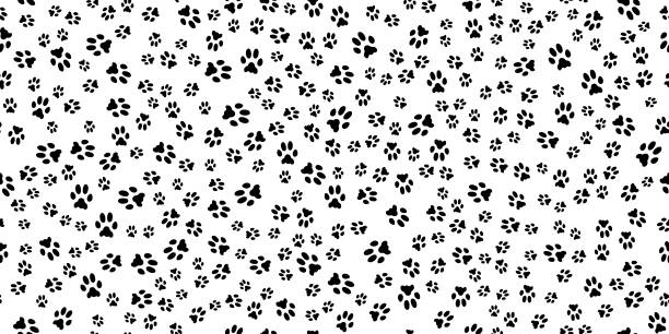 следы домашних животных - paw print stock illustrations