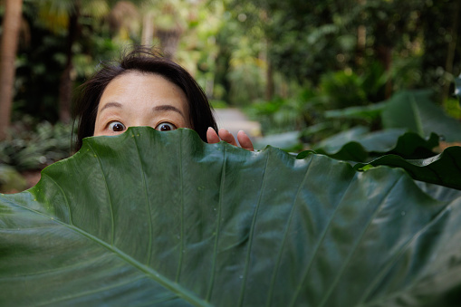 Woman peeking over the top of a very large leaf.