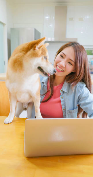 istock girl with dog use laptop 1393472877