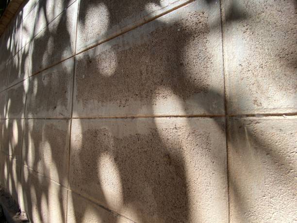 istock Shadow of the tree fall on the wall 1393473841