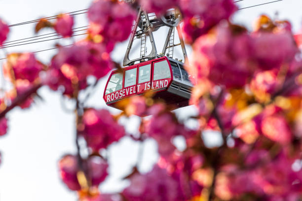 istock Roosevelt Island Tram 1393481322