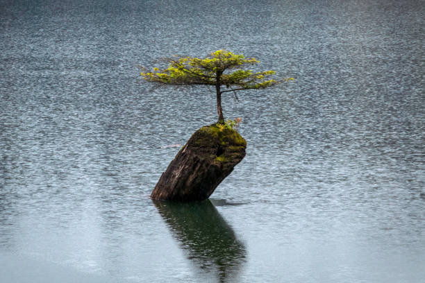 istock Raindrops On Fairy Lake 1393482035