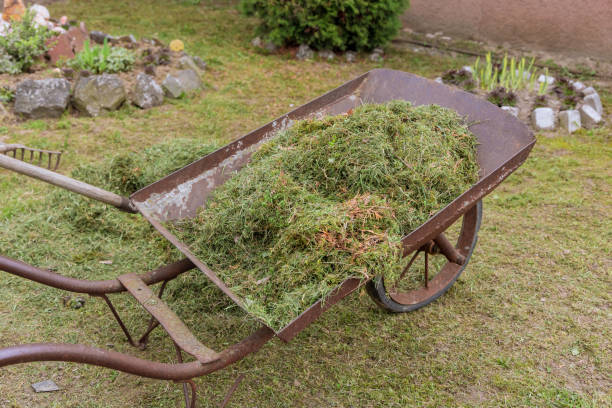 istock Garden cart with cut grass on backyard during cleaning. 1393482365