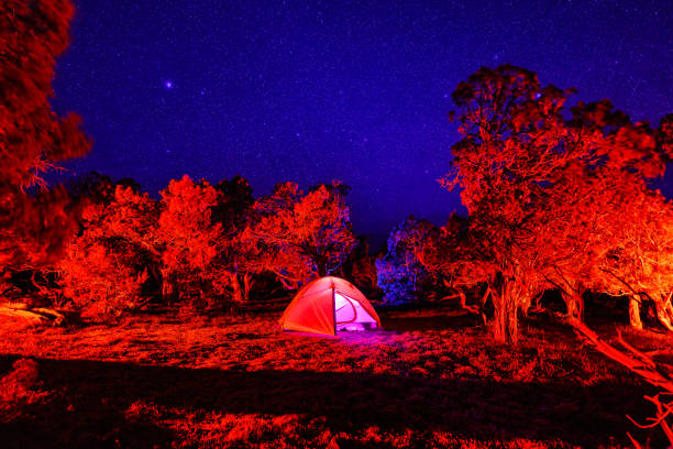 camping sous les étoiles la nuit - rattlesnake photos et images de collection