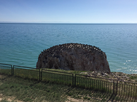 Qinghai, China- June 13, 2016: Qinghai Lake is the biggest lake in China. Is is a salt lake in Qinghai-Tibet Plateau. Here is the scenary of the Birds Island in Qinghai Lake.