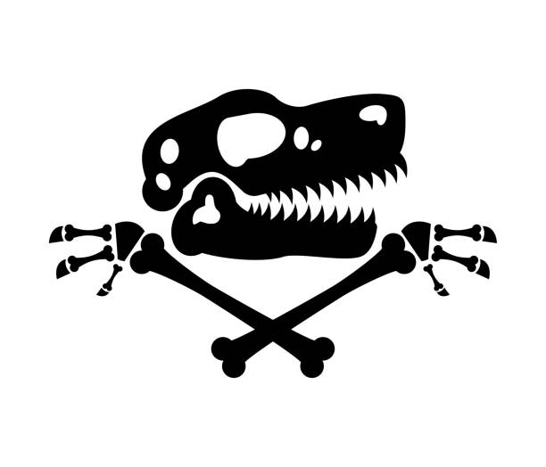 Dinosaur skull and crossbones symbol. The skull of Tyrannosaurus rex is a sign of the pirates of the ancient world. vector art illustration