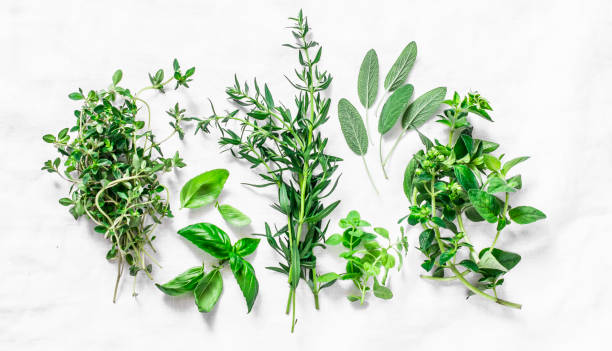 istock Fragrant herbs for cooking food on a light background, top view 1393491755